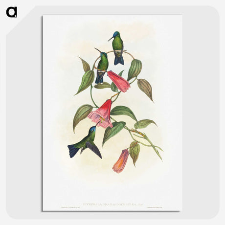 1-17_John-Gould_picture-crop