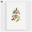 1-17_John-Gould_picture
