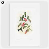1-17_John-Gould_picture