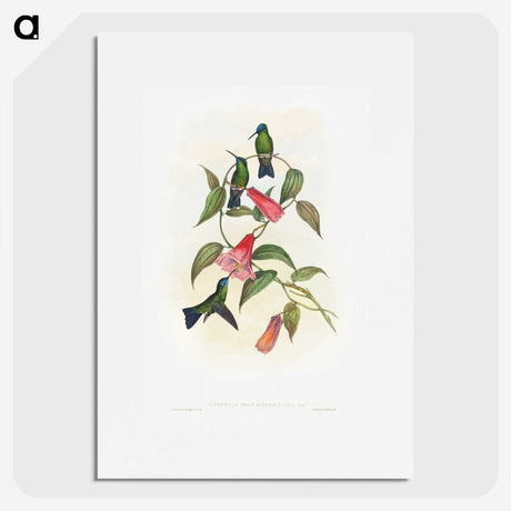 1-17_John-Gould_picture
