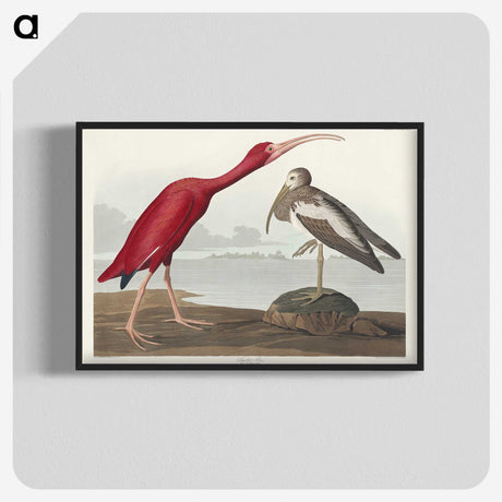 1-17_John-James-Audubon_blk-crop