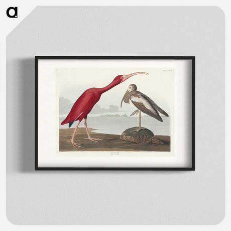 1-17_John-James-Audubon_blk