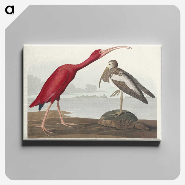 1-17_John-James-Audubon_canvas