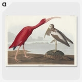 1-17_John-James-Audubon_picture-crop