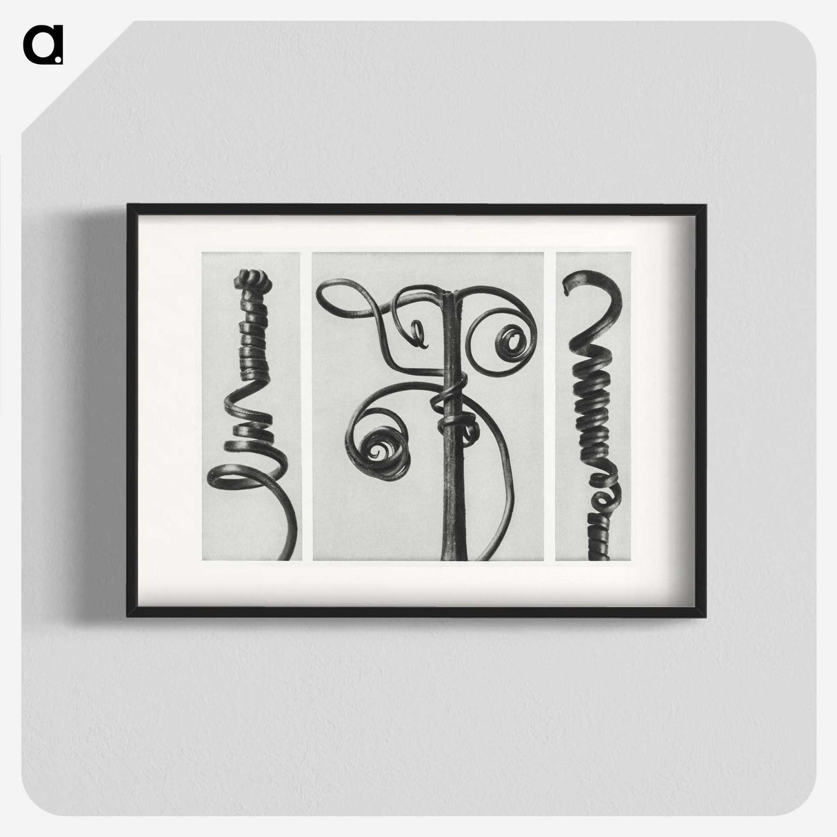 1-17_Karl-Blossfeldt_blk