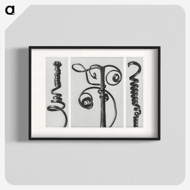 1-17_Karl-Blossfeldt_blk