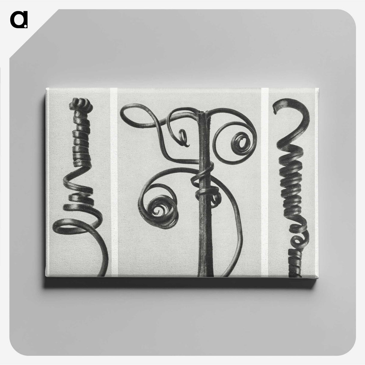 1-17_Karl-Blossfeldt_canvas