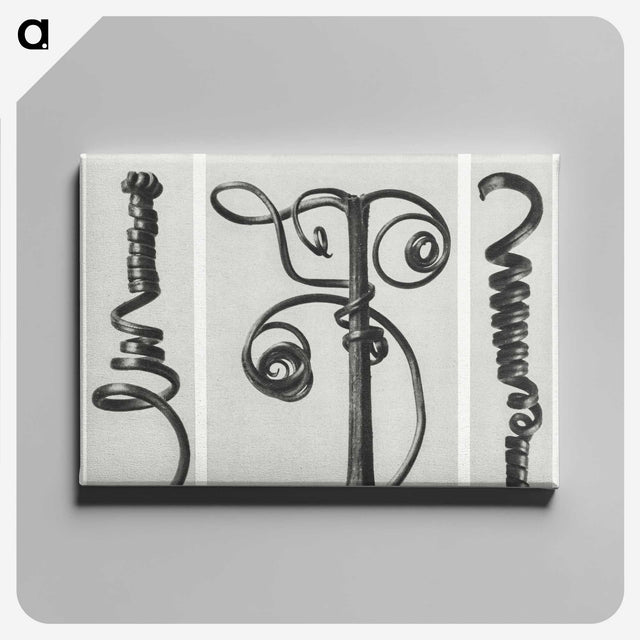 1-17_Karl-Blossfeldt_canvas