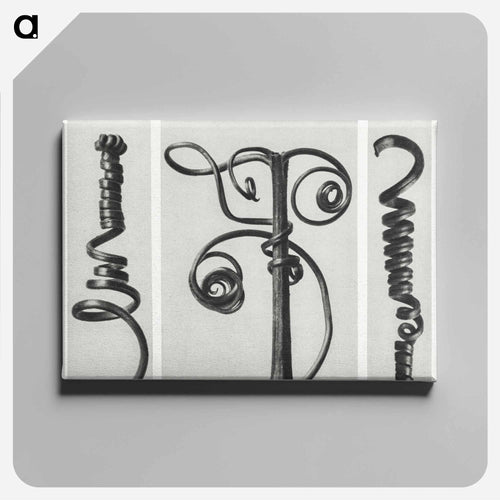 Cucurbita (Pumpkin) - カール ブロスフェルト Canvas.