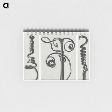 1-17_Karl-Blossfeldt_memo