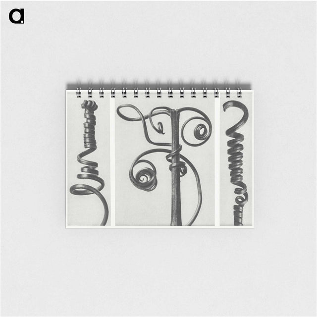 1-17_Karl-Blossfeldt_memo