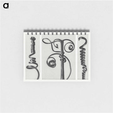 Cucurbita (Pumpkin) - カール ブロスフェルト Memo.