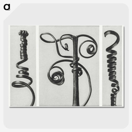 1-17_Karl-Blossfeldt_picture-crop