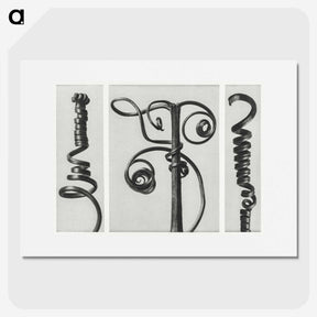 1-17_Karl-Blossfeldt_picture