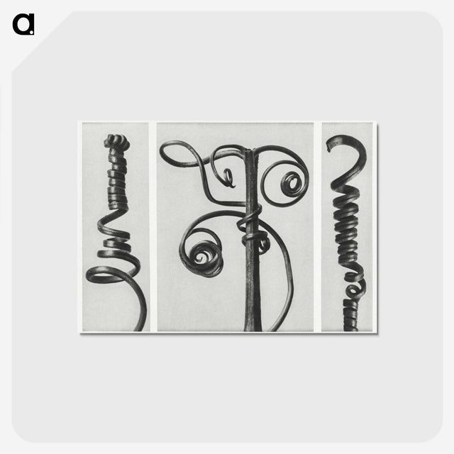1-17_Karl-Blossfeldt_postcard