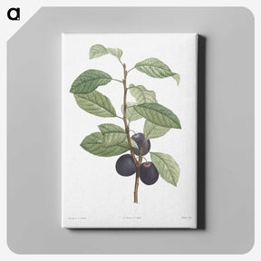 1-17_La-Botanique_canvas
