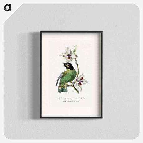 1-17_Le-Jardin-des-Plantes_blk