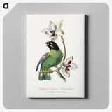1-17_Le-Jardin-des-Plantes_canvas