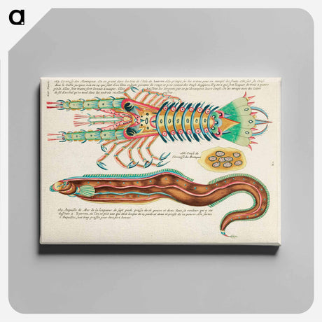 アートパネル-Moluccan Sea Creatures
 - ルイ ルナール Canvas.