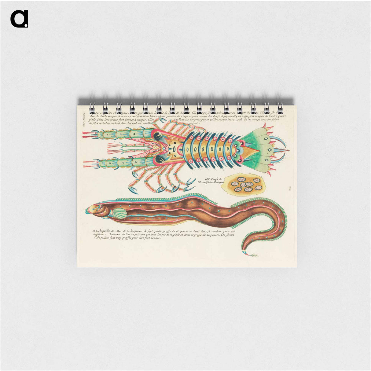 Moluccan Sea Creatures
 - ルイ ルナール Memo.