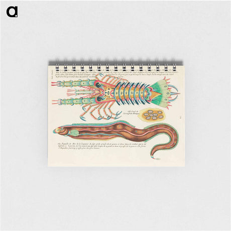 アートメモ帳-Moluccan Sea Creatures
 - ルイ ルナール Memo.