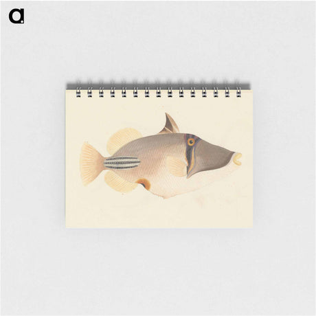 アートメモ帳-Unidentified Fish
 - ルイージ バルガーニ Memo.