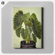 アートパネル-Colocasia esculenta
 - マリア ジビーラ メーリアン Canvas.