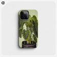 1-17_Maria-Sibylla-Merian_phone