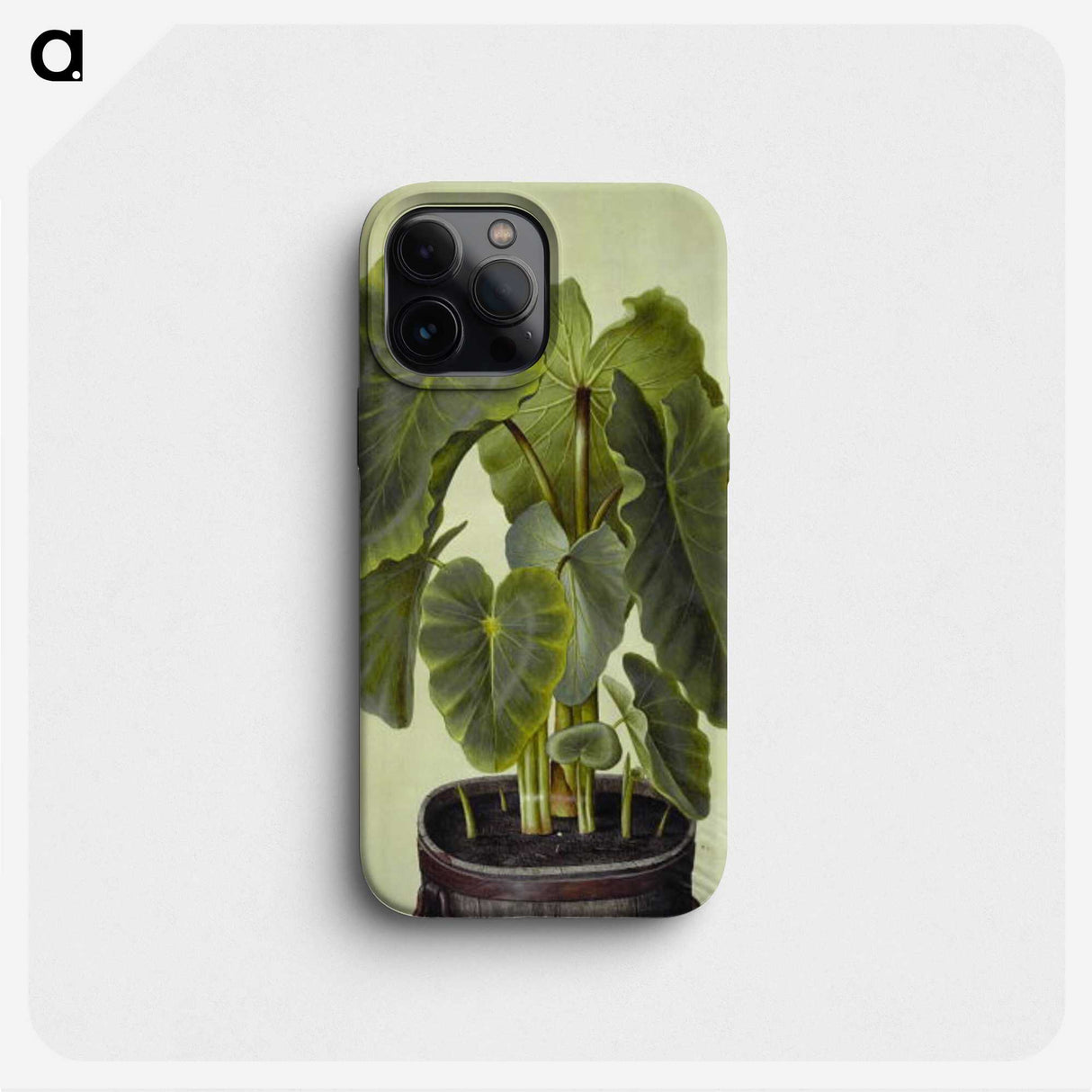 1-17_Maria-Sibylla-Merian_phone