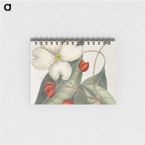 1-17_Mark-Catesby_memo