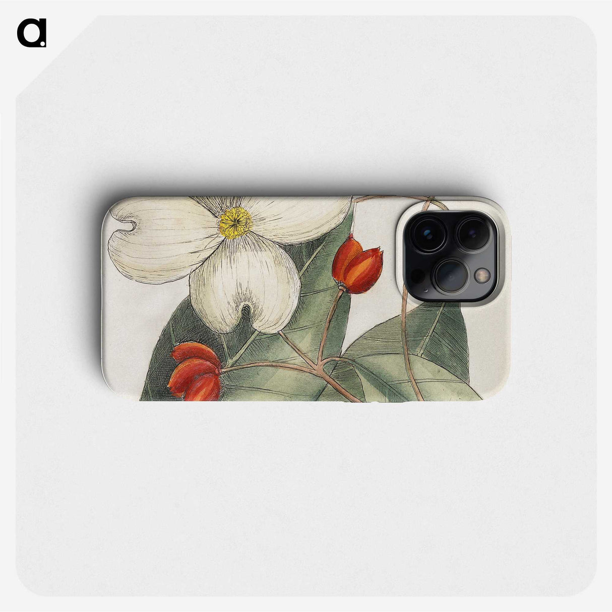 1-17_Mark-Catesby_phone