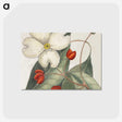 1-17_Mark-Catesby_postcard