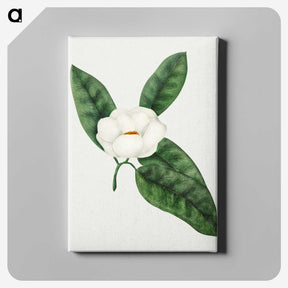 1-17_Mary-Altha-Nims_canvas