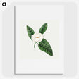 1-17_Mary-Altha-Nims_picture