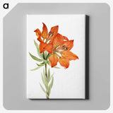 1-17_Mary-Vaux-Walcott_canvas