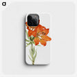 1-17_Mary-Vaux-Walcott_phone