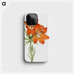 1-17_Mary-Vaux-Walcott_phone
