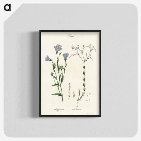 1-17_Medical-Botany_blk-crop