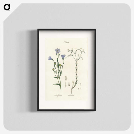 1-17_Medical-Botany_blk