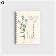 アートメモ帳-Flax Illustration
 - 薬用植物学 Memo.