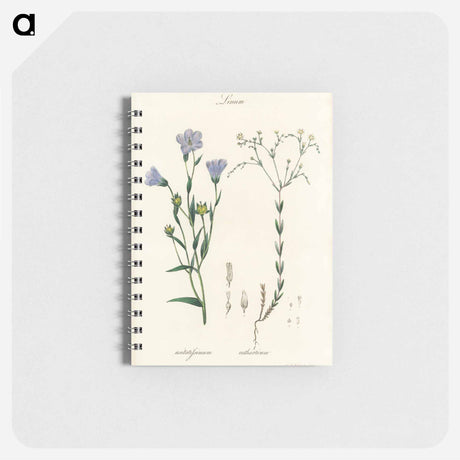 アートメモ帳-Flax Illustration
 - 薬用植物学 Memo.