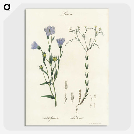1-17_Medical-Botany_picture-crop