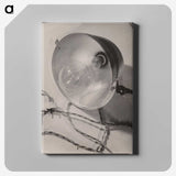 1-17_Milos-Dohnany_canvas