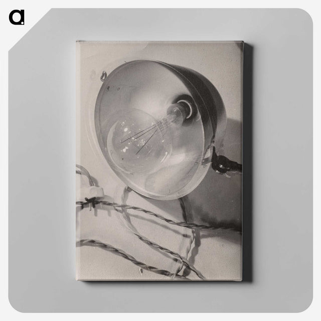 1-17_Milos-Dohnany_canvas