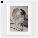 1-17_Milos-Dohnany_picture