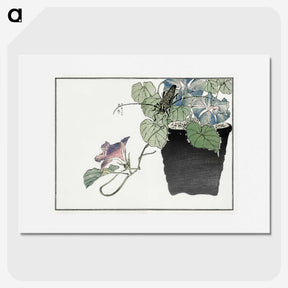 1-17_Morimoto-Tokaku_picture