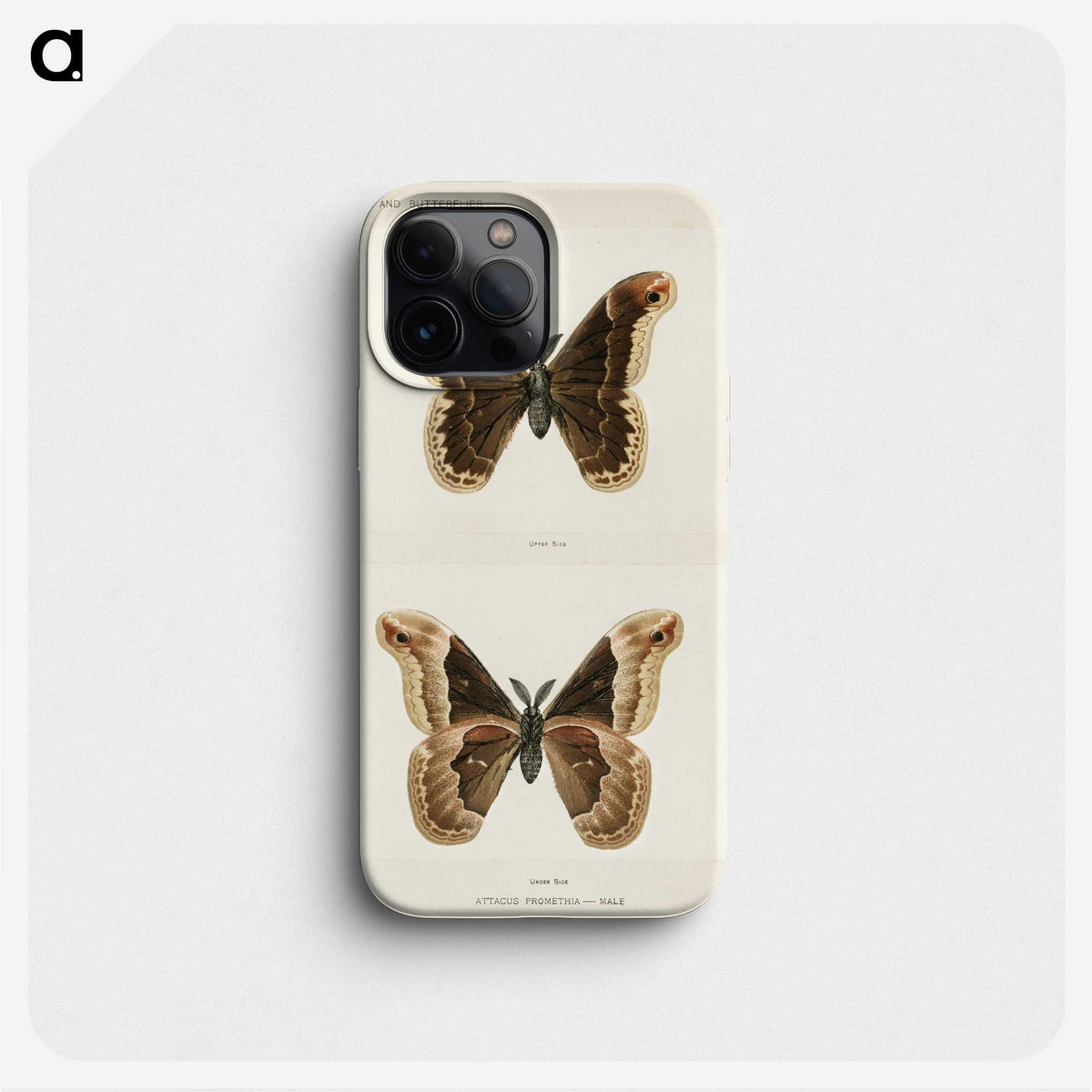 1-17_Moths-and-Butterflies-of-the-United-States_phone