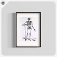 アートポスター-Anatomical Skeleton
 - 国立医学図書館 Poster.