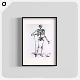 アートポスター-Anatomical Skeleton
 - 国立医学図書館 Poster.