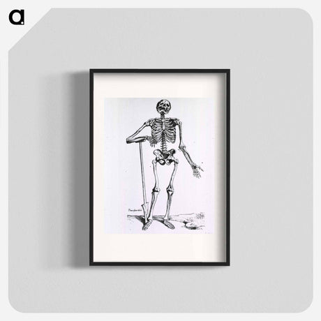 アートポスター-Anatomical Skeleton
 - 国立医学図書館 Poster.